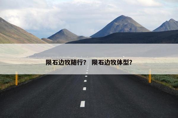陨石边牧随行？ 陨石边牧体型？