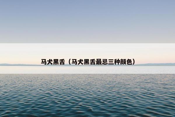 追踪