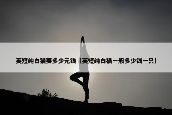 英短纯白猫要多少元钱（英短纯白猫一般多少钱一只）