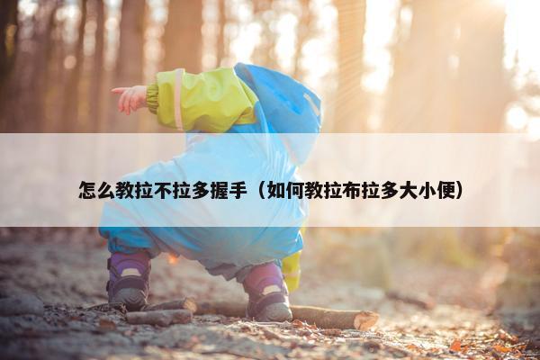 怎么教拉不拉多握手（如何教拉布拉多大小便）
