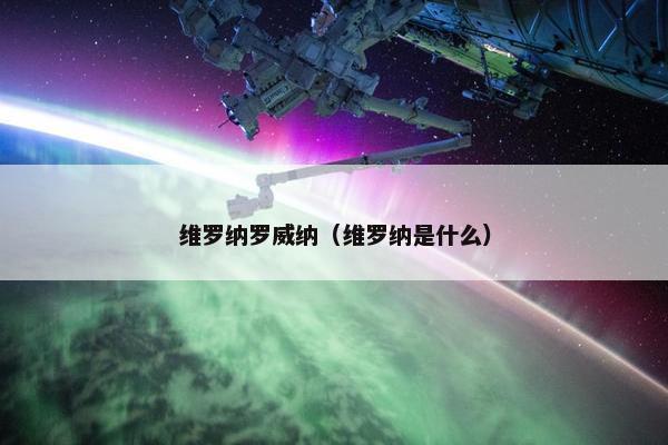 维罗纳罗威纳（维罗纳是什么）