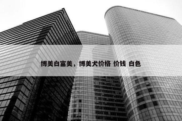 博美白富美，博美犬价格 价钱 白色