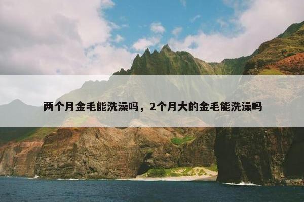 金毛 第5页