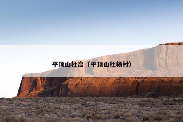 平顶山杜高（平顶山杜杨村）