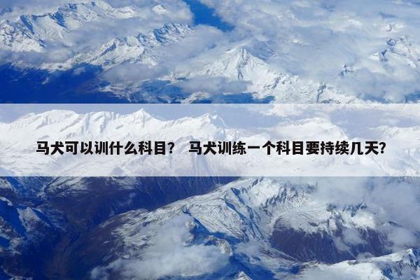 马犬可以训什么科目？ 马犬训练一个科目要持续几天？
