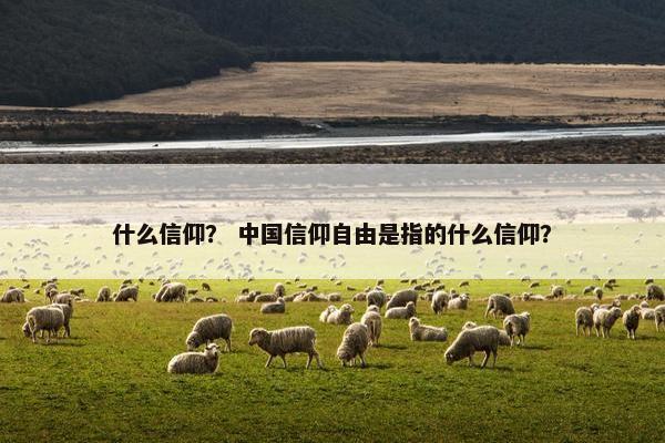 什么信仰？ 中国信仰自由是指的什么信仰？