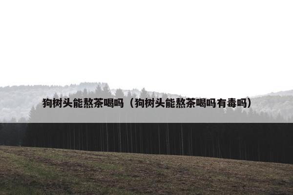 泡茶
