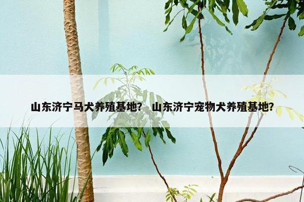 养殖