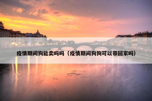 疫情期间狗能卖吗吗（疫情期间狗狗可以带回家吗）