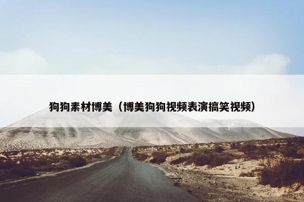 博美 第3页