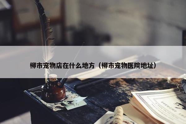 柳市宠物店在什么地方（柳市宠物医院地址）