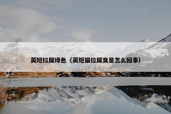 英短拉屎绿色（英短猫拉屎臭是怎么回事）