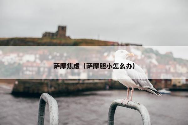 萨摩焦虑（萨摩胆小怎么办）