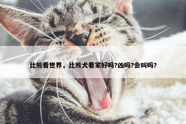 视网膜