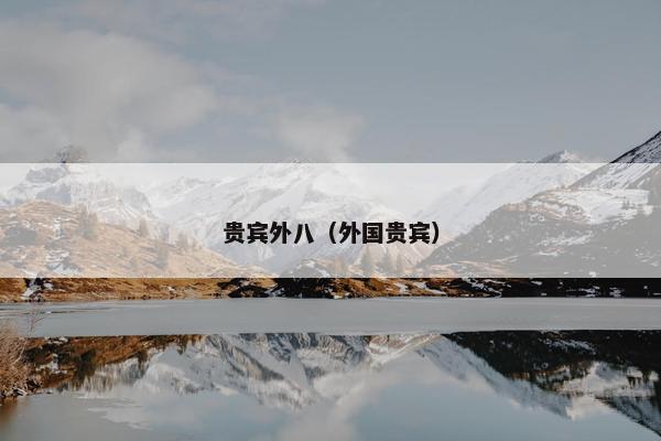 贵宾外八（外国贵宾）