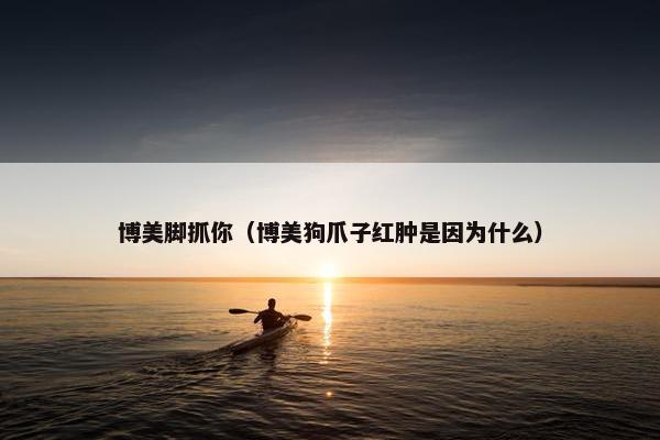 博美脚抓你（博美狗爪子红肿是因为什么）