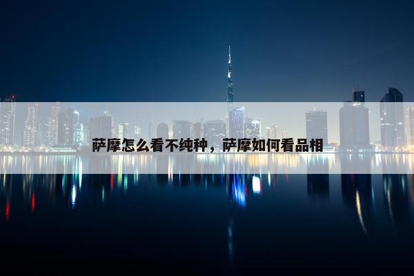 萨摩怎么看不纯种，萨摩如何看品相