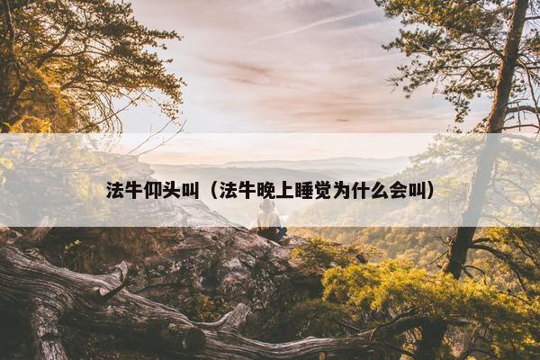 法牛仰头叫（法牛晚上睡觉为什么会叫）