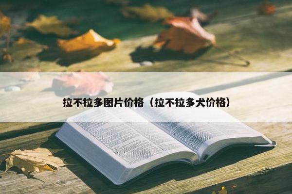 拉不拉多图片价格（拉不拉多犬价格）