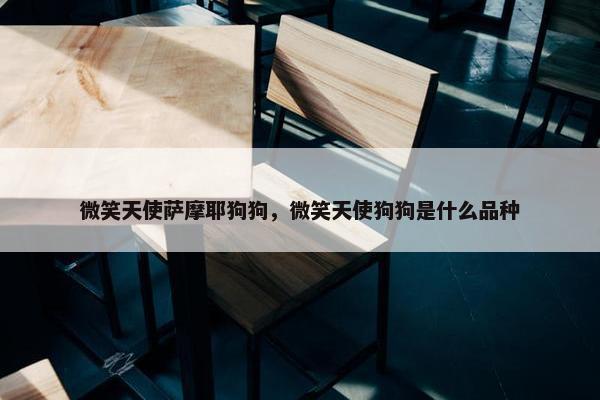 微笑天使萨摩耶狗狗，微笑天使狗狗是什么品种