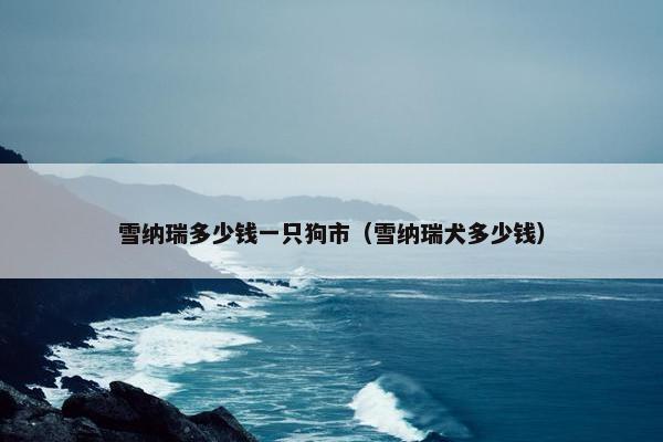 雪纳瑞多少钱一只狗市（雪纳瑞犬多少钱）