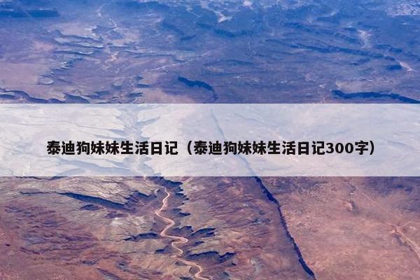 泰迪狗妹妹生活日记（泰迪狗妹妹生活日记300字）