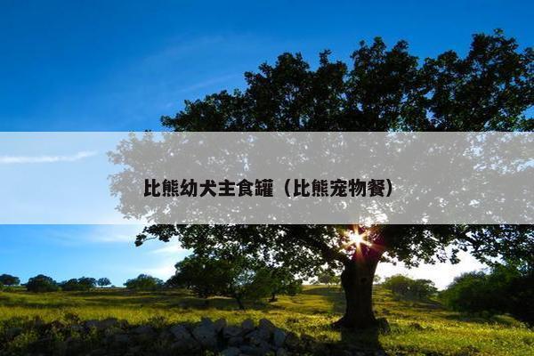 比熊幼犬主食罐（比熊宠物餐）