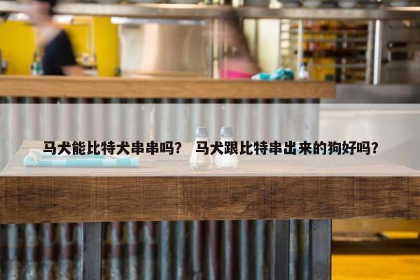 马犬能比特犬串串吗？ 马犬跟比特串出来的狗好吗？