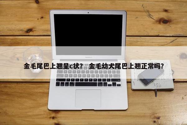 金毛尾巴上翘呈c状？ 金毛幼犬尾巴上翘正常吗？