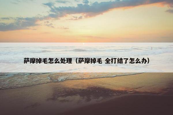 萨摩掉毛怎么处理（萨摩掉毛 全打结了怎么办）