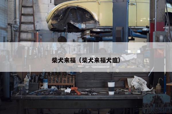 带来