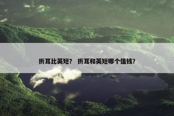折耳比英短？ 折耳和英短哪个值钱？