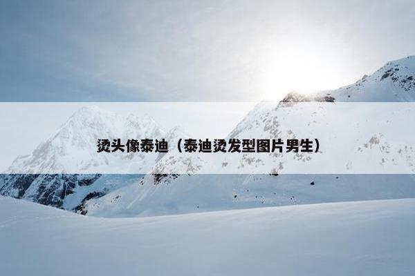 烫头像泰迪（泰迪烫发型图片男生）
