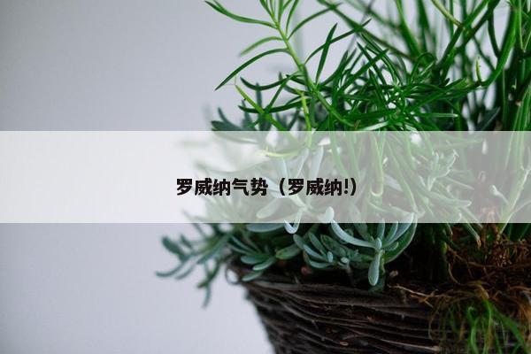 罗威纳气势（罗威纳!）