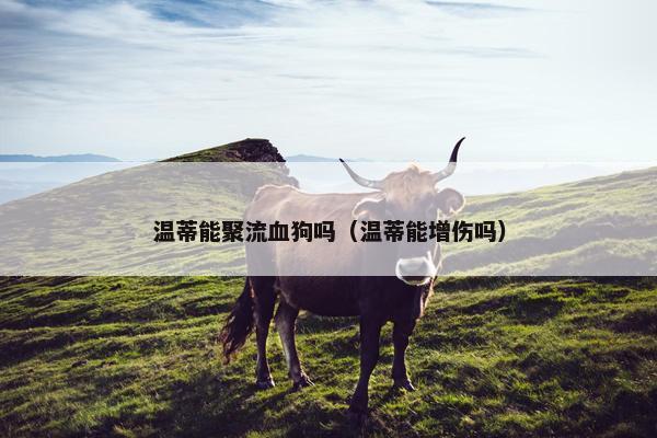 温蒂能聚流血狗吗（温蒂能增伤吗）