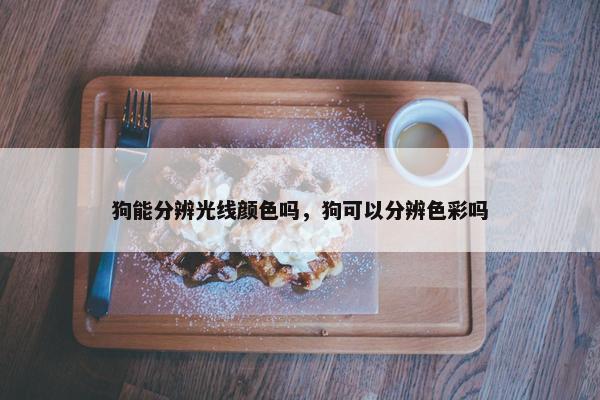 分辨