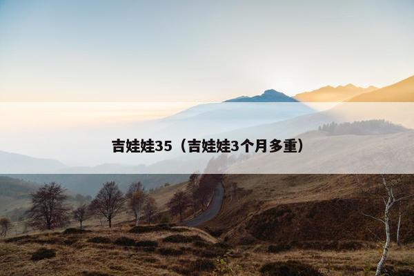 吉娃娃35（吉娃娃3个月多重）