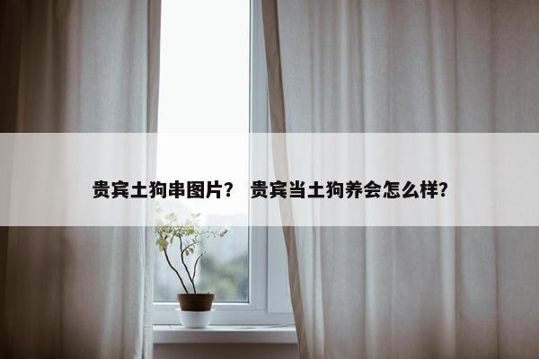 贵宾土狗串图片？ 贵宾当土狗养会怎么样？