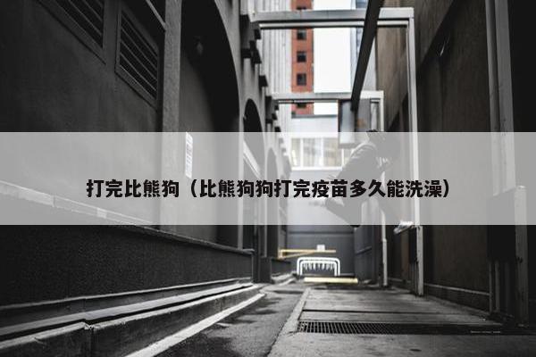 打完比熊狗（比熊狗狗打完疫苗多久能洗澡）
