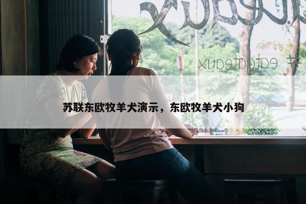 苏联东欧牧羊犬演示，东欧牧羊犬小狗