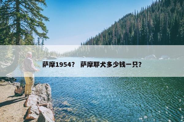 萨摩1954？ 萨摩耶犬多少钱一只？