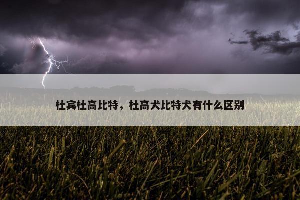 杜宾杜高比特，杜高犬比特犬有什么区别