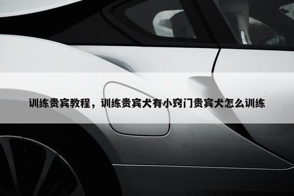 训练贵宾教程，训练贵宾犬有小窍门贵宾犬怎么训练