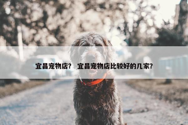 宜昌宠物店？ 宜昌宠物店比较好的几家？