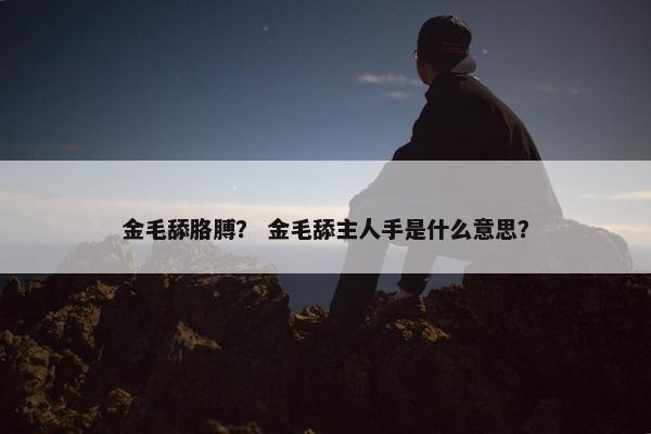 金毛舔胳膊？ 金毛舔主人手是什么意思？