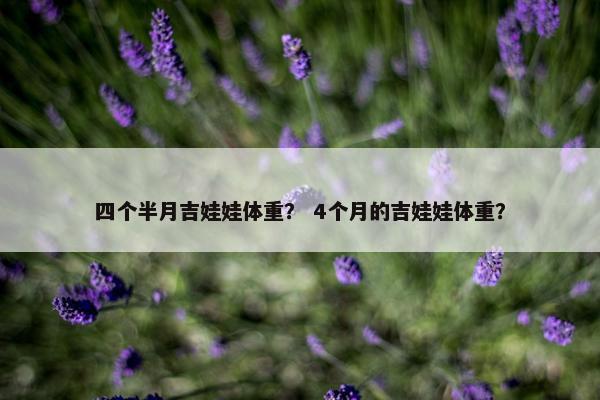 四个半月吉娃娃体重？ 4个月的吉娃娃体重？