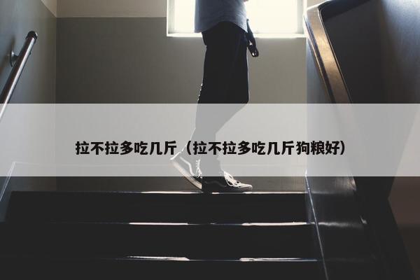拉不拉多吃几斤（拉不拉多吃几斤狗粮好）