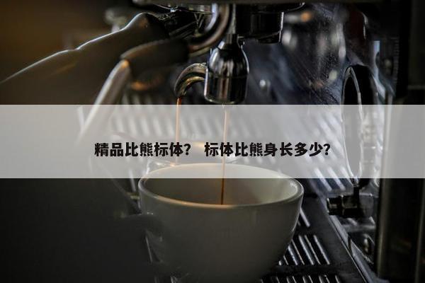 精品比熊标体？ 标体比熊身长多少？