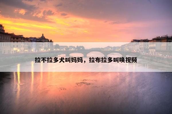 拉不拉多犬叫妈妈，拉布拉多叫唤视频