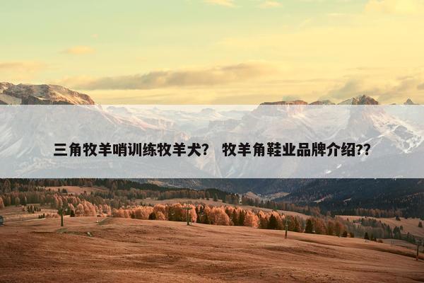 三角牧羊哨训练牧羊犬？ 牧羊角鞋业品牌介绍?？